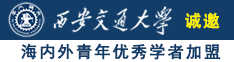 大屌猛艹诚邀海内外青年优秀学者加盟西安交通大学